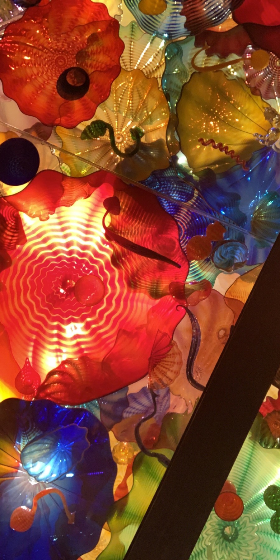 chihuly garden and glass photos