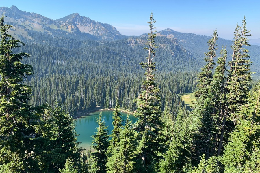 mount rainier national park weather