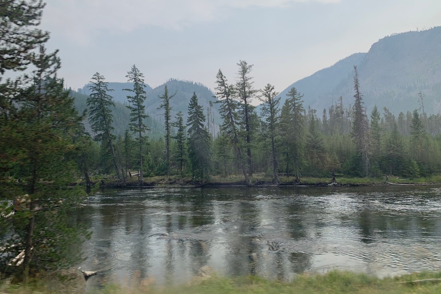 yellowstone national park